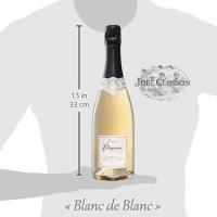 Taille bouteille elegance